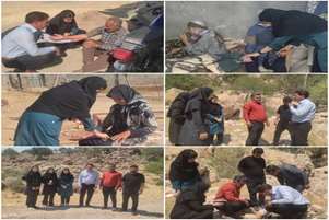 بررسی مشکلات مناطق عشایری سروستان