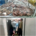 معدوم‌سازی گوشت فاسد در کشتارگاه سروستان